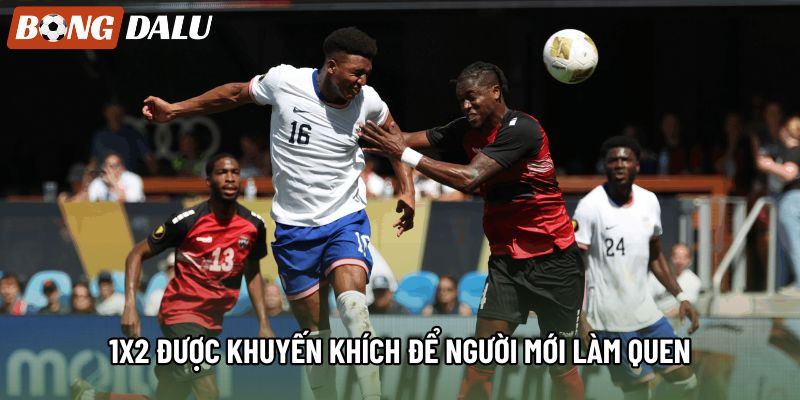 1X2 được khuyến khích để người mới làm quen